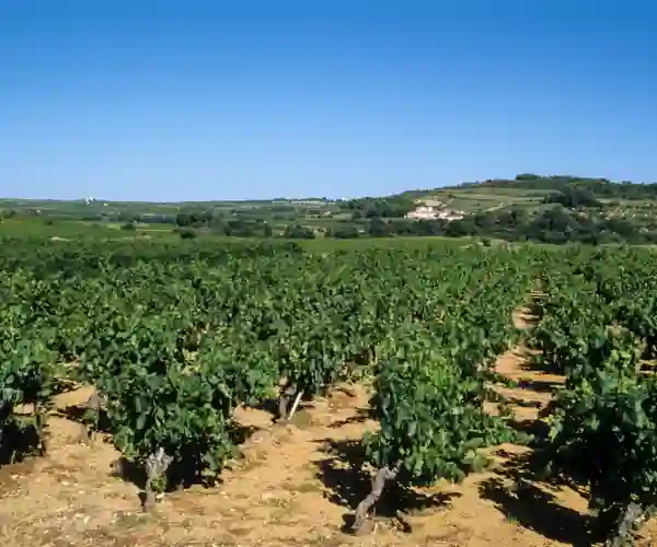 Faugères