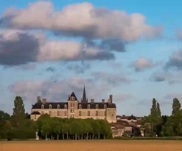 Renessanseslottet i Cadillac, Château Des Ducs D’Épernon