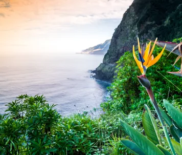 Madeira