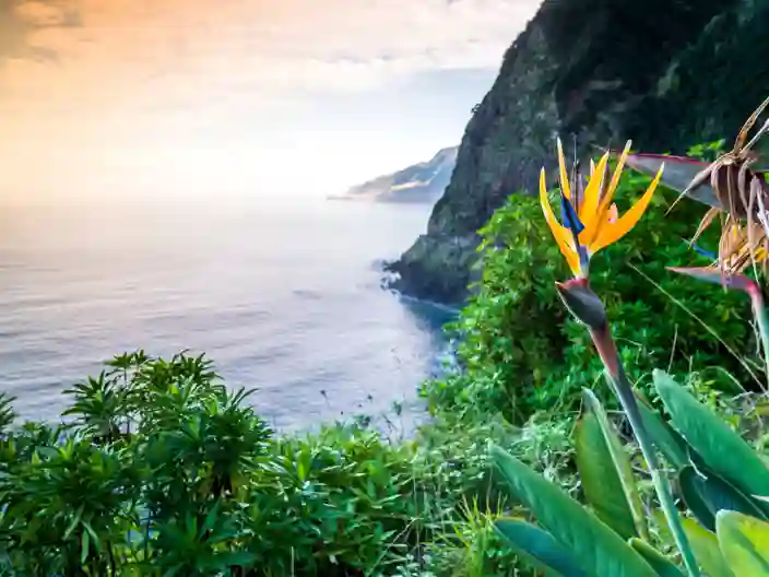 Madeira