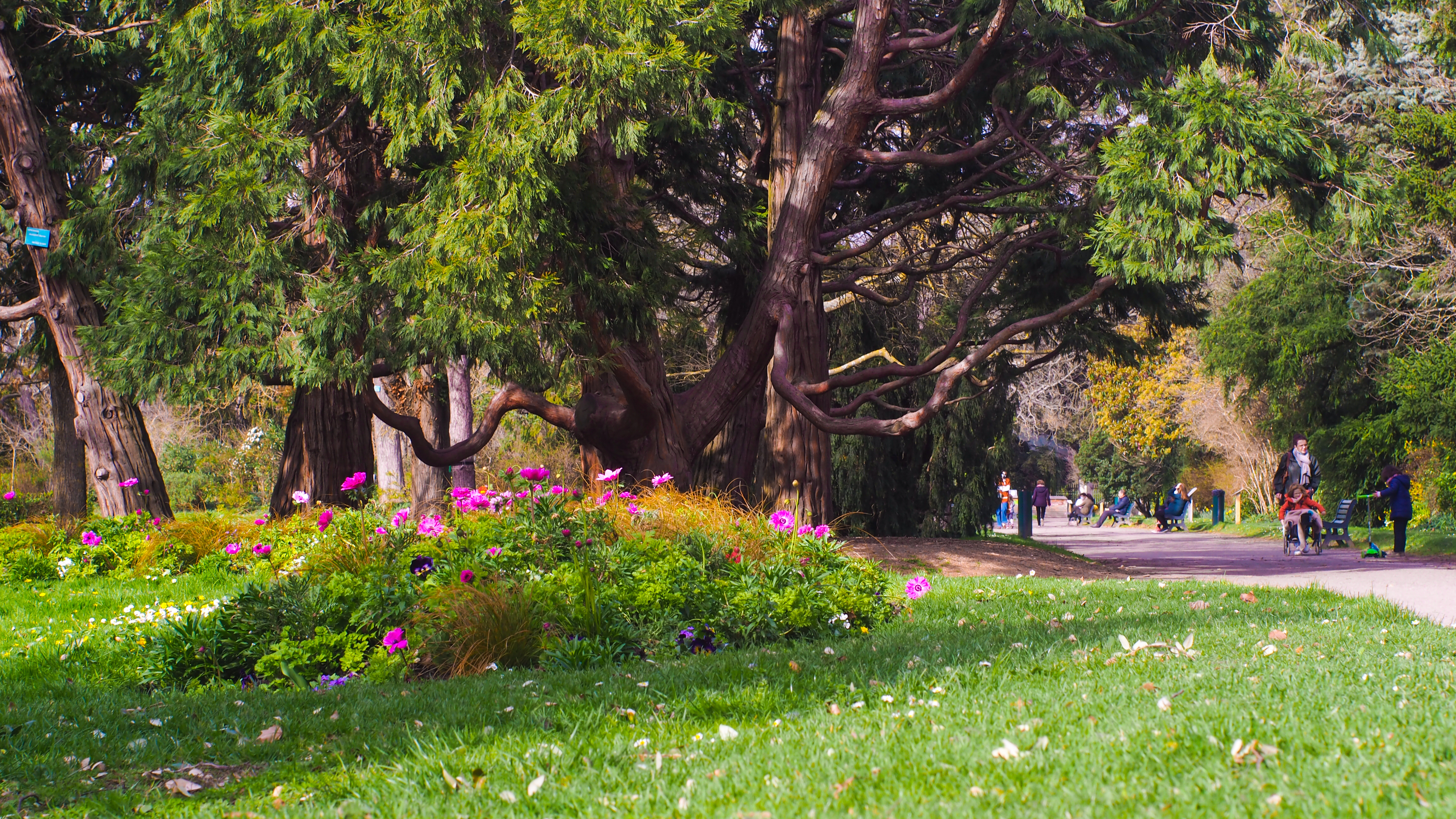 Botanisk Have I Toulouse