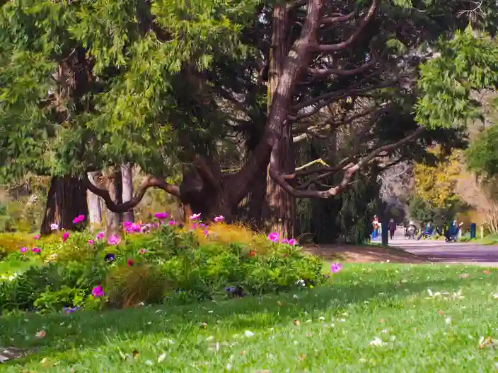 Botanisk Have I Toulouse