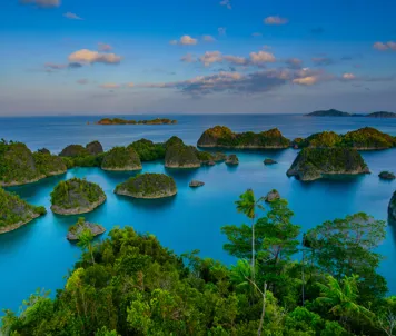 Papua Ny Guinea