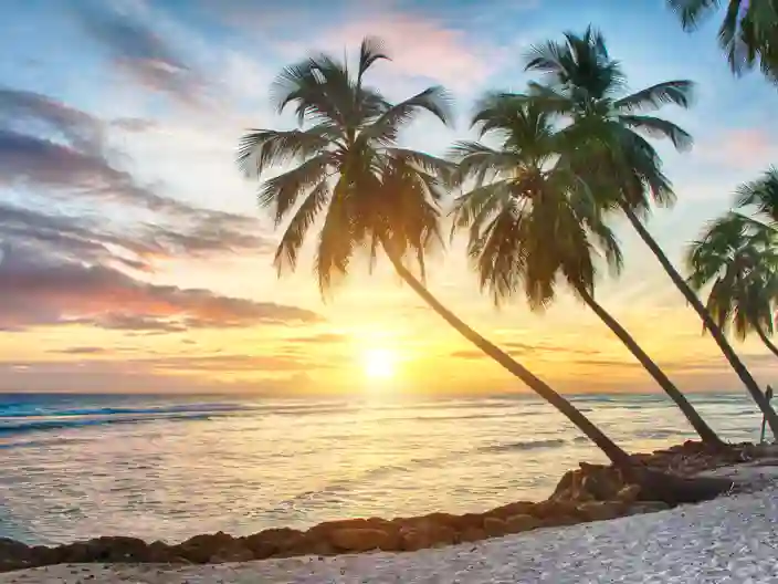 Naturvy från Barbados med palmer, hav och karibisk atmosfär.