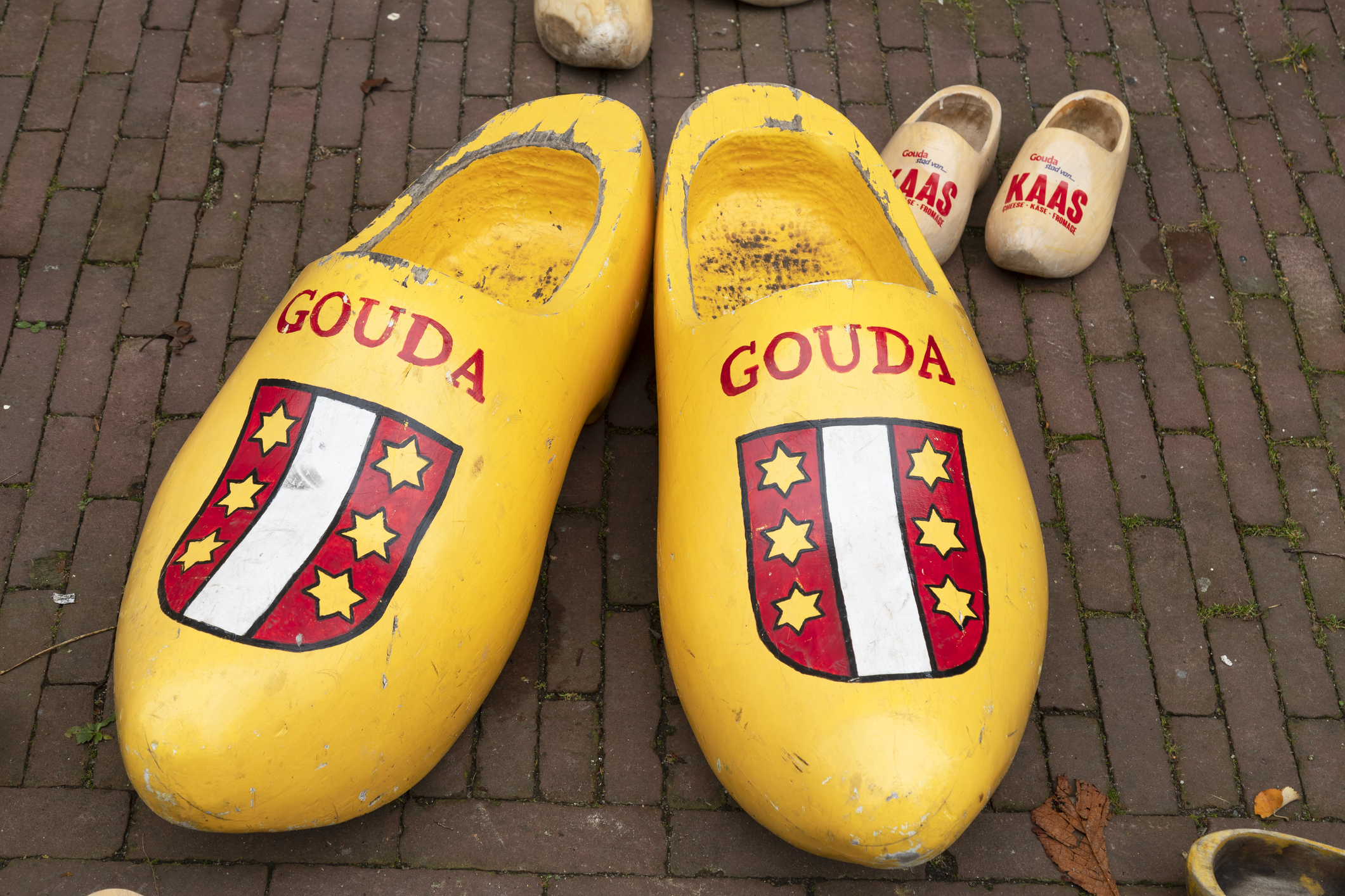 Gouda