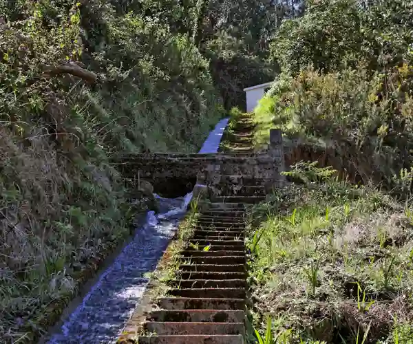 Levada