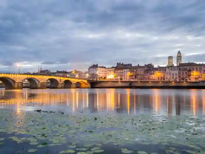 Pont Saint-Laurent är en historisk stenbro i Mâcon, Frankrike, som korsar floden Saône