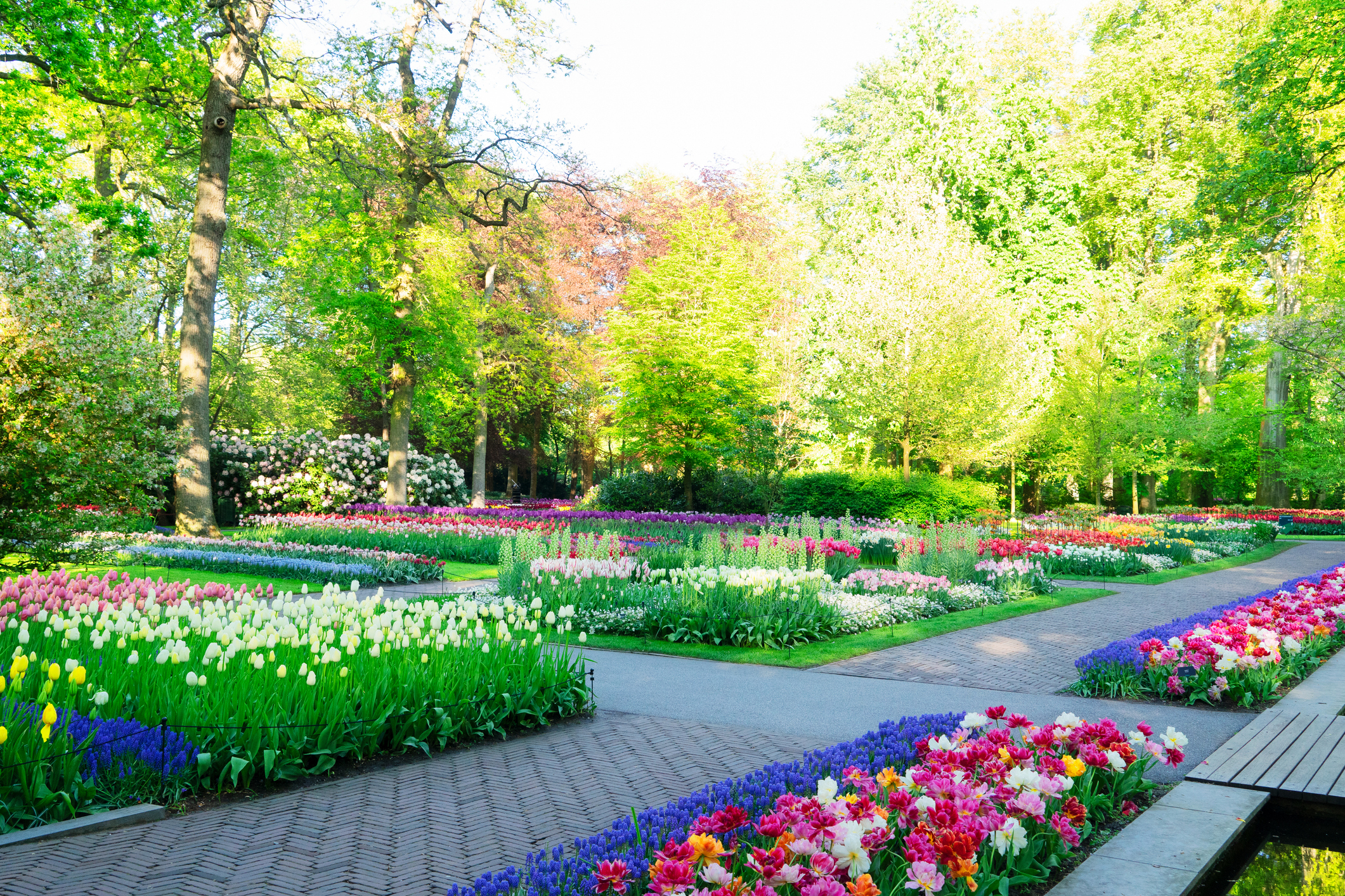 Keukenhof