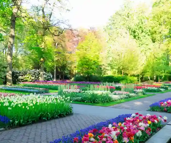 Keukenhof