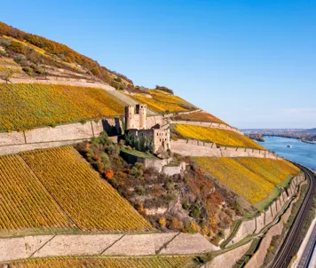 Ehrenfels slott i Rüdesheim langs Rhinen