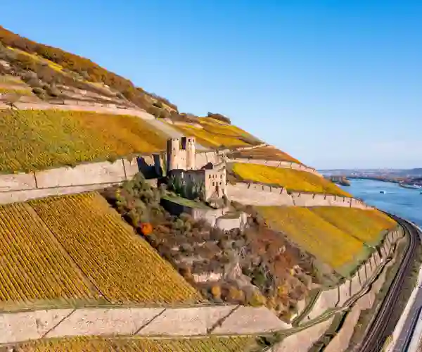 Ehrenfels slott i Rüdesheim langs Rhinen
