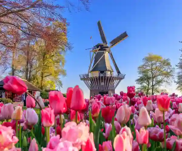 Keukenhof