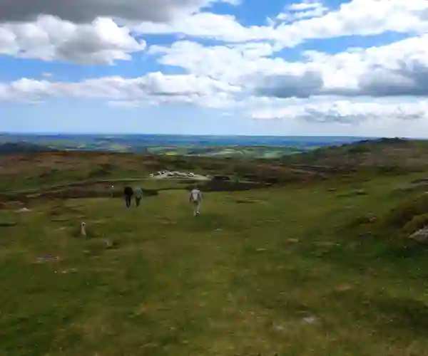 Dartmoor