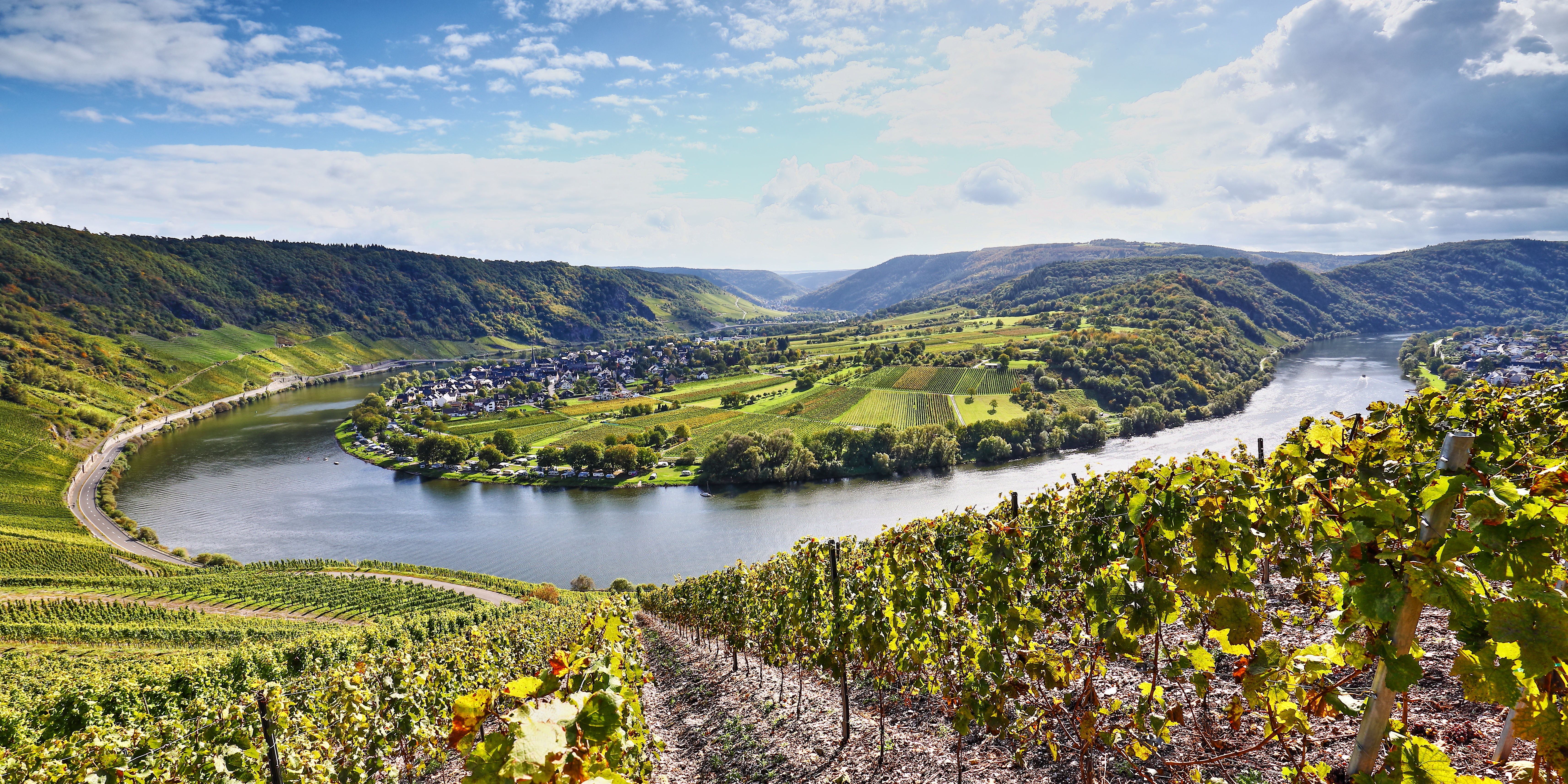 Mosel