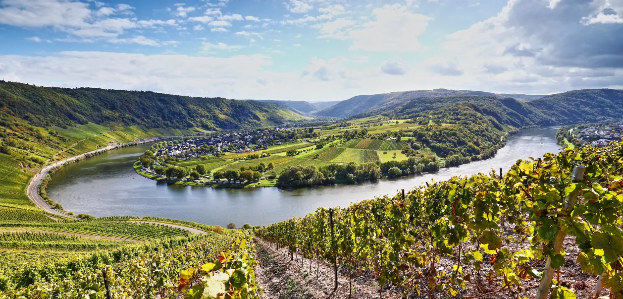 Mosel
