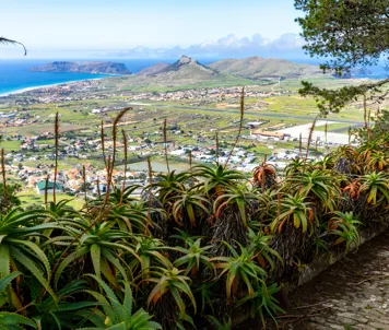 Pico do Castelo, Porto Santo