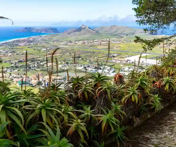 Pico do Castelo, Porto Santo