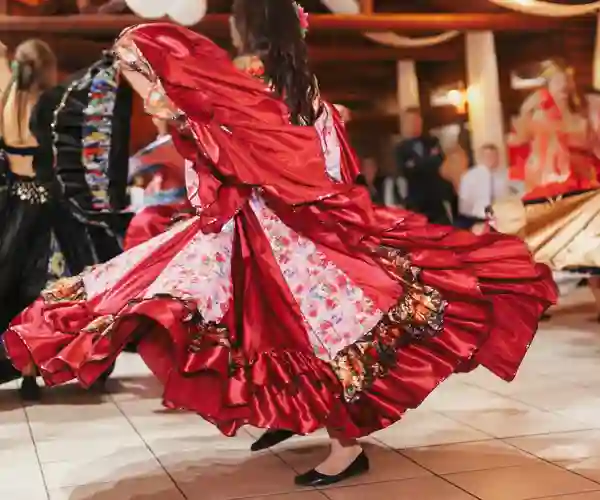 Flamencos fortryllende verden