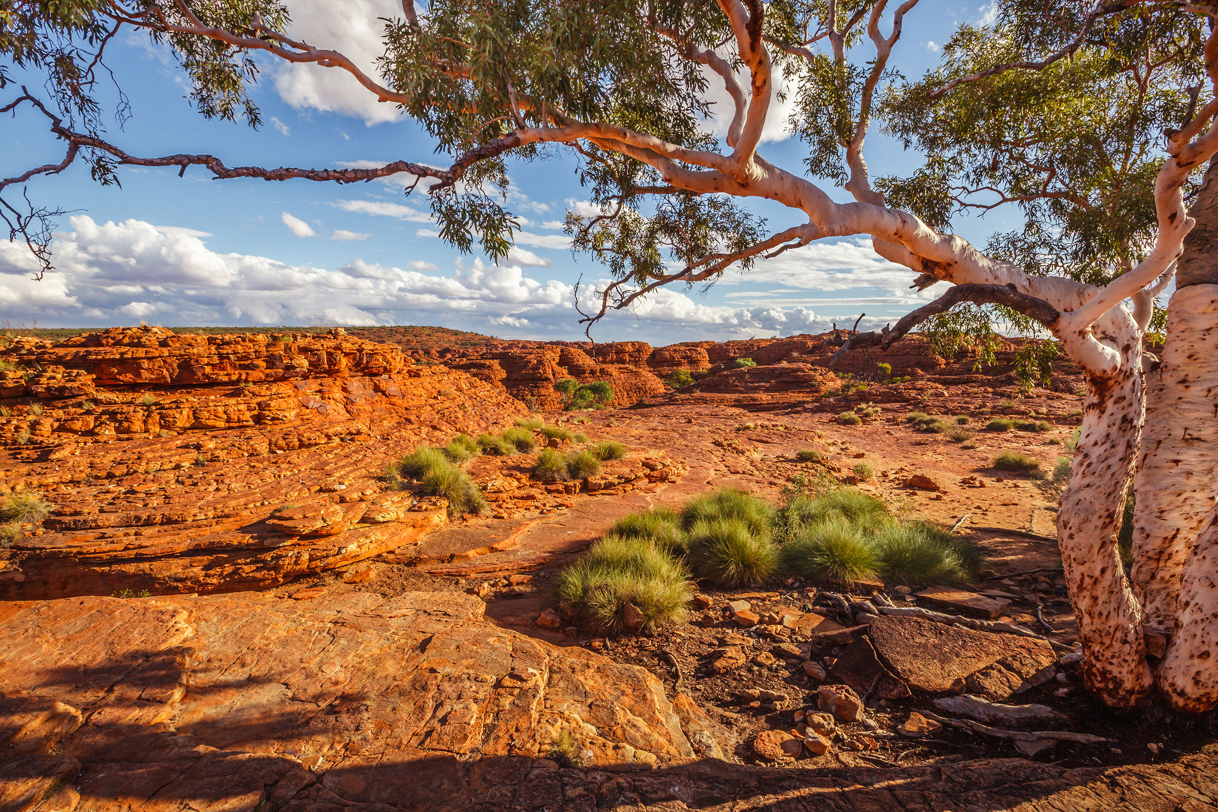 Kings Canyon, Northern Territory