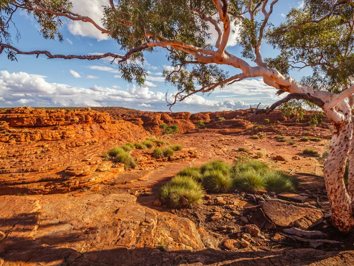 Kings Canyon, Northern Territory