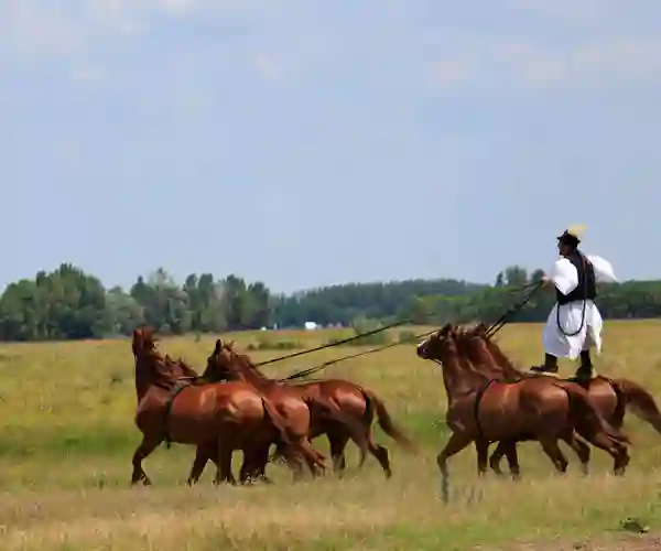 Hesteshow på pusztaen