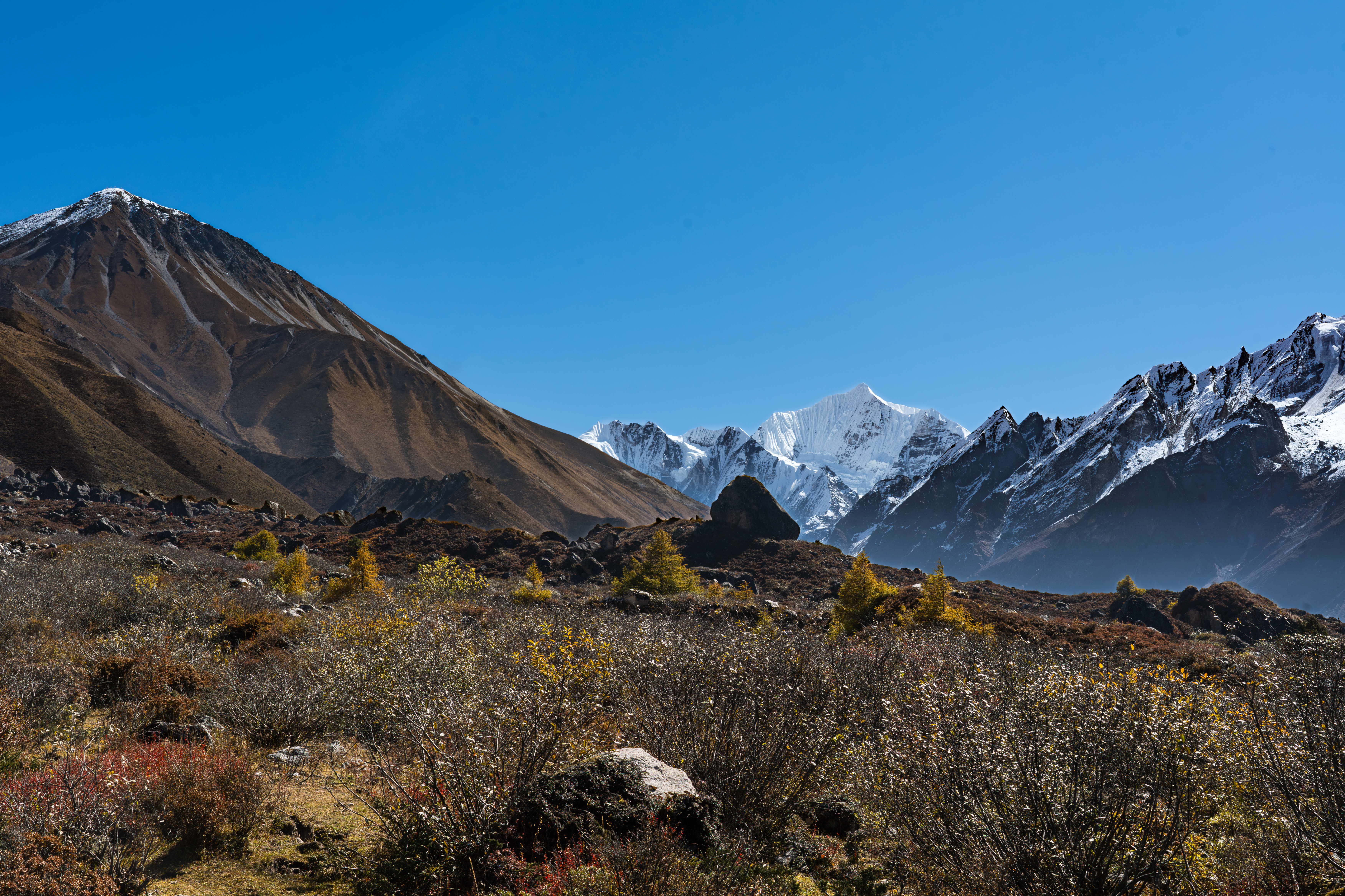 Langtang nasjonalpark