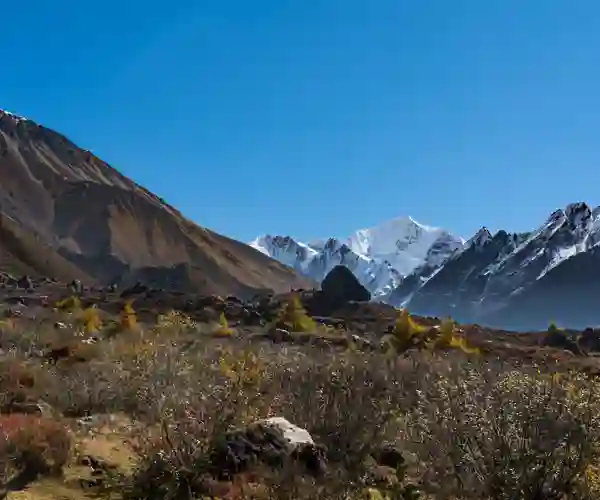 Langtang nasjonalpark