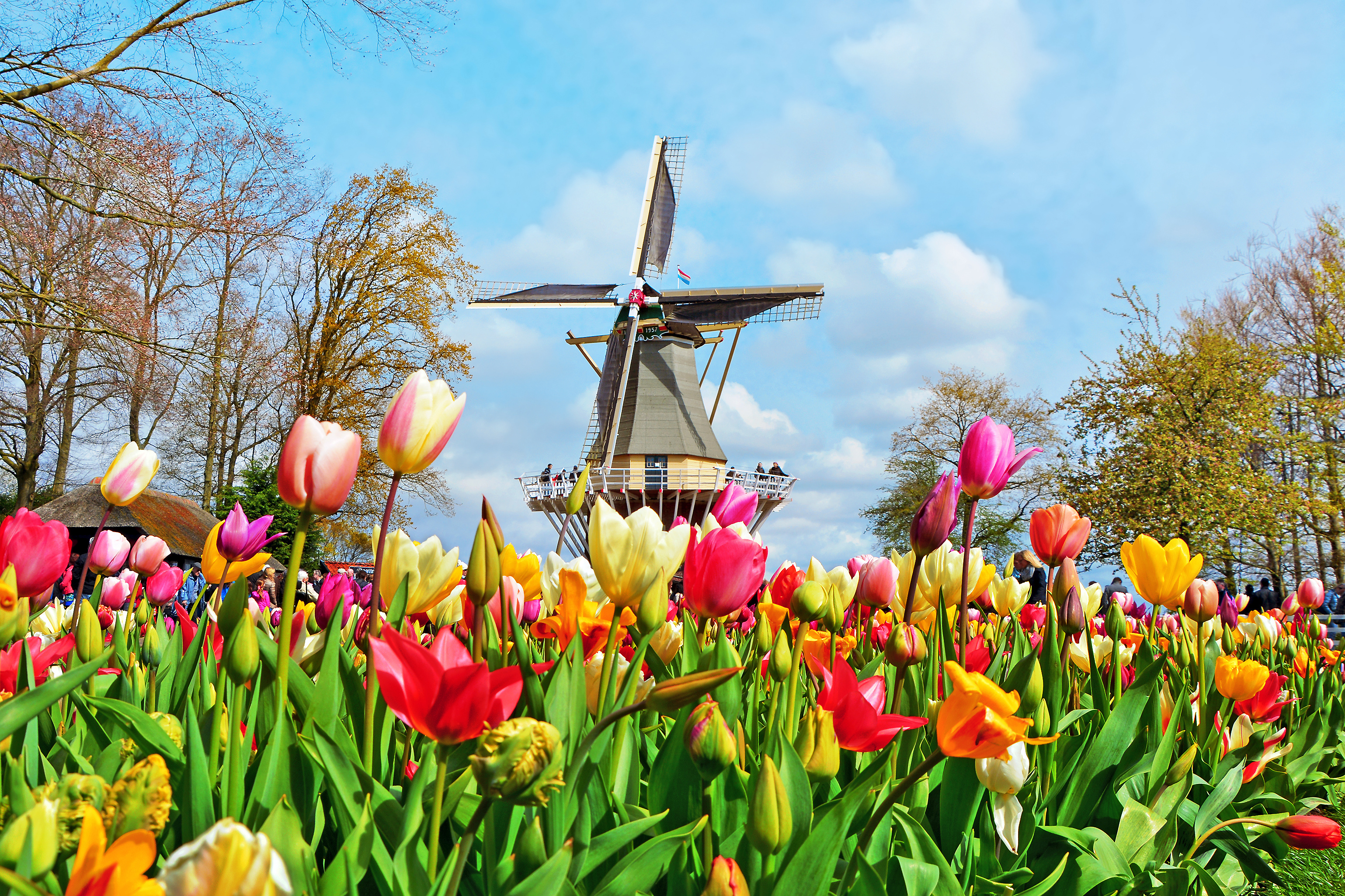 Keukenhof