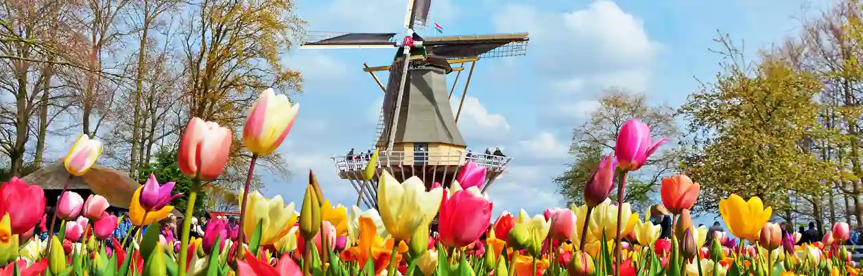 Keukenhof