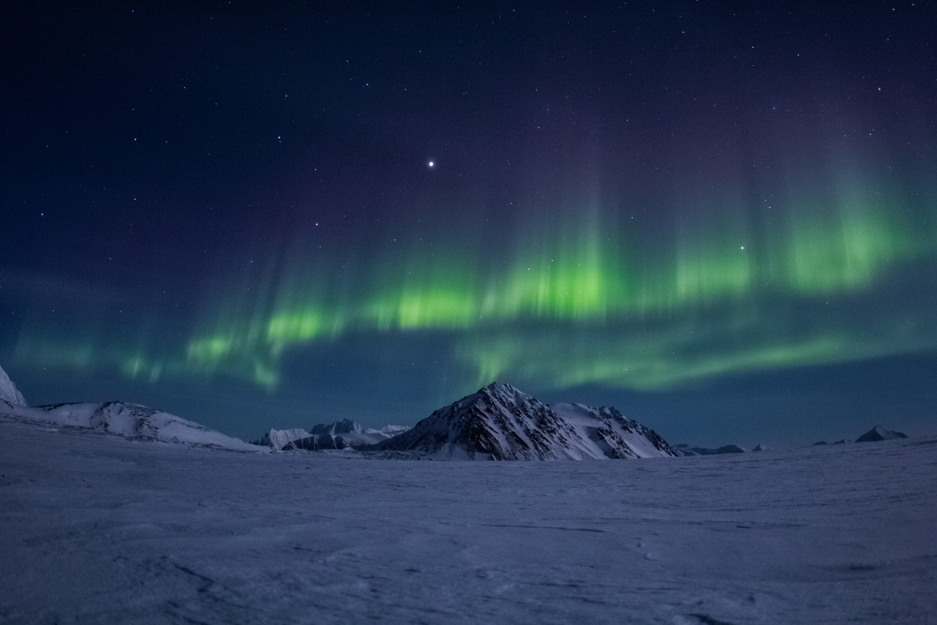 Nordlys i Svalbard