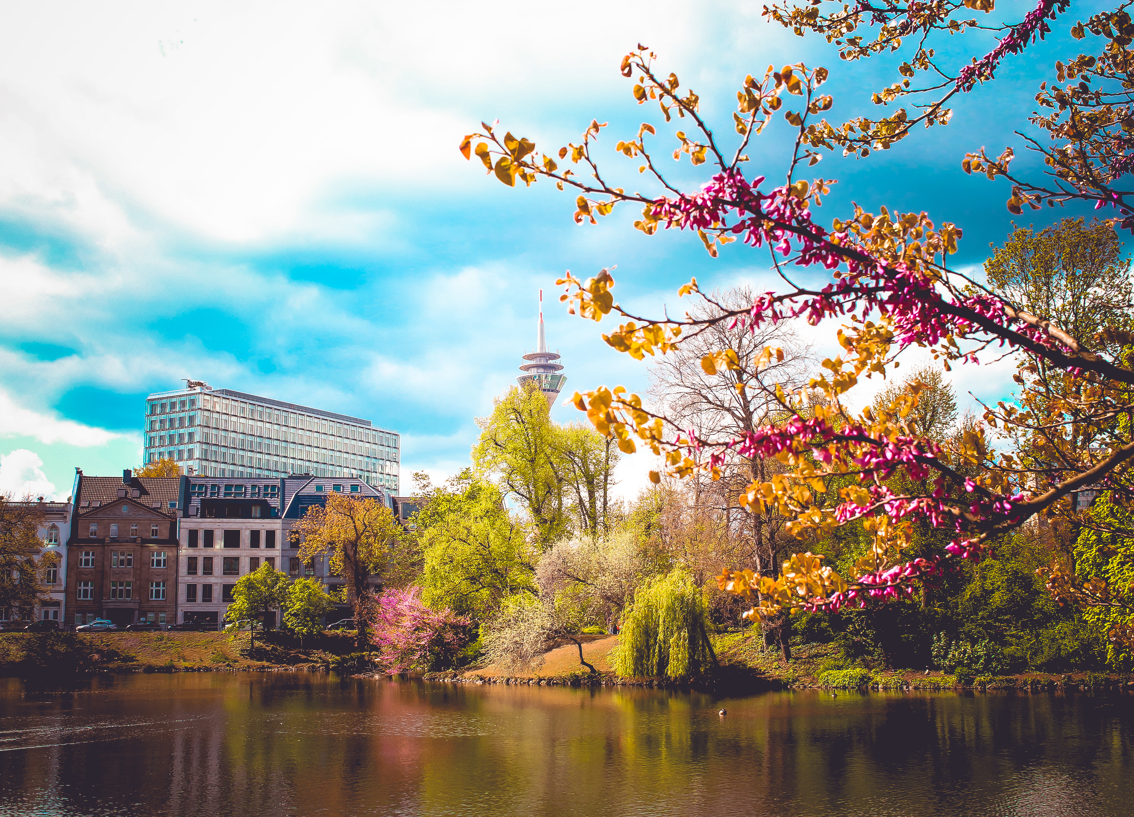 Vårfärger i Düsseldorf