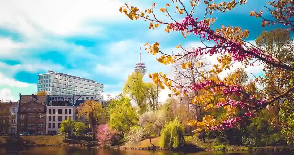 Vårfärger i Düsseldorf