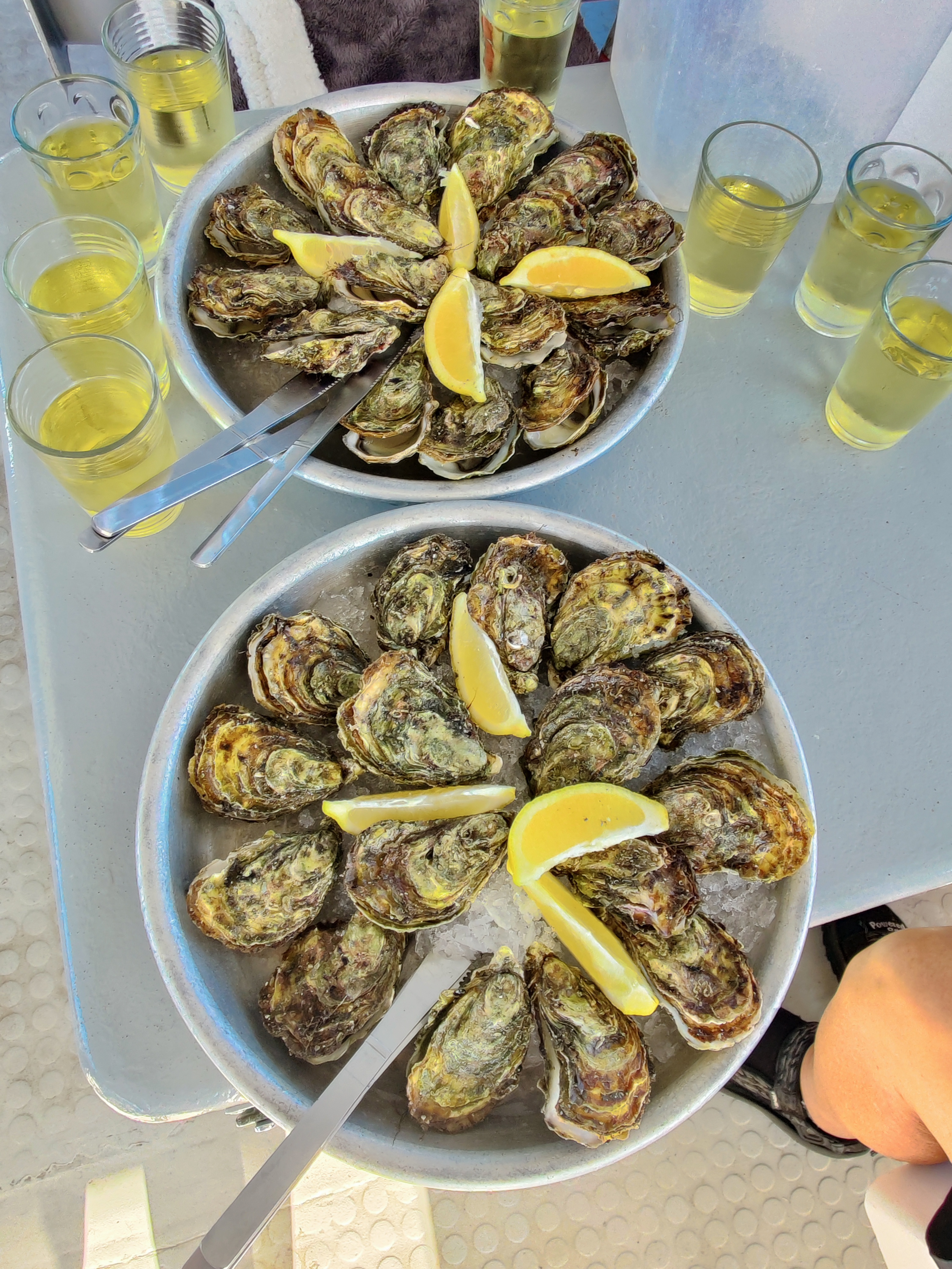 Østerssmagning ved Étang De Thau