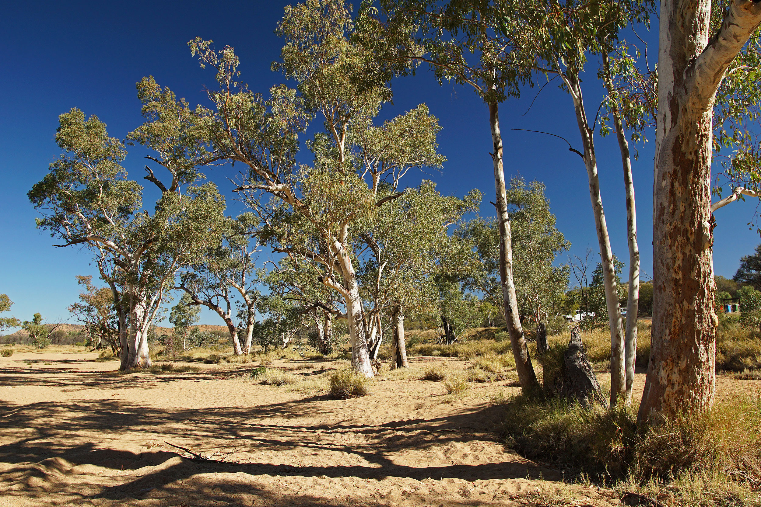 Northern Territory - Australien