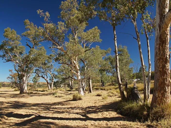 Northern Territory - Australien