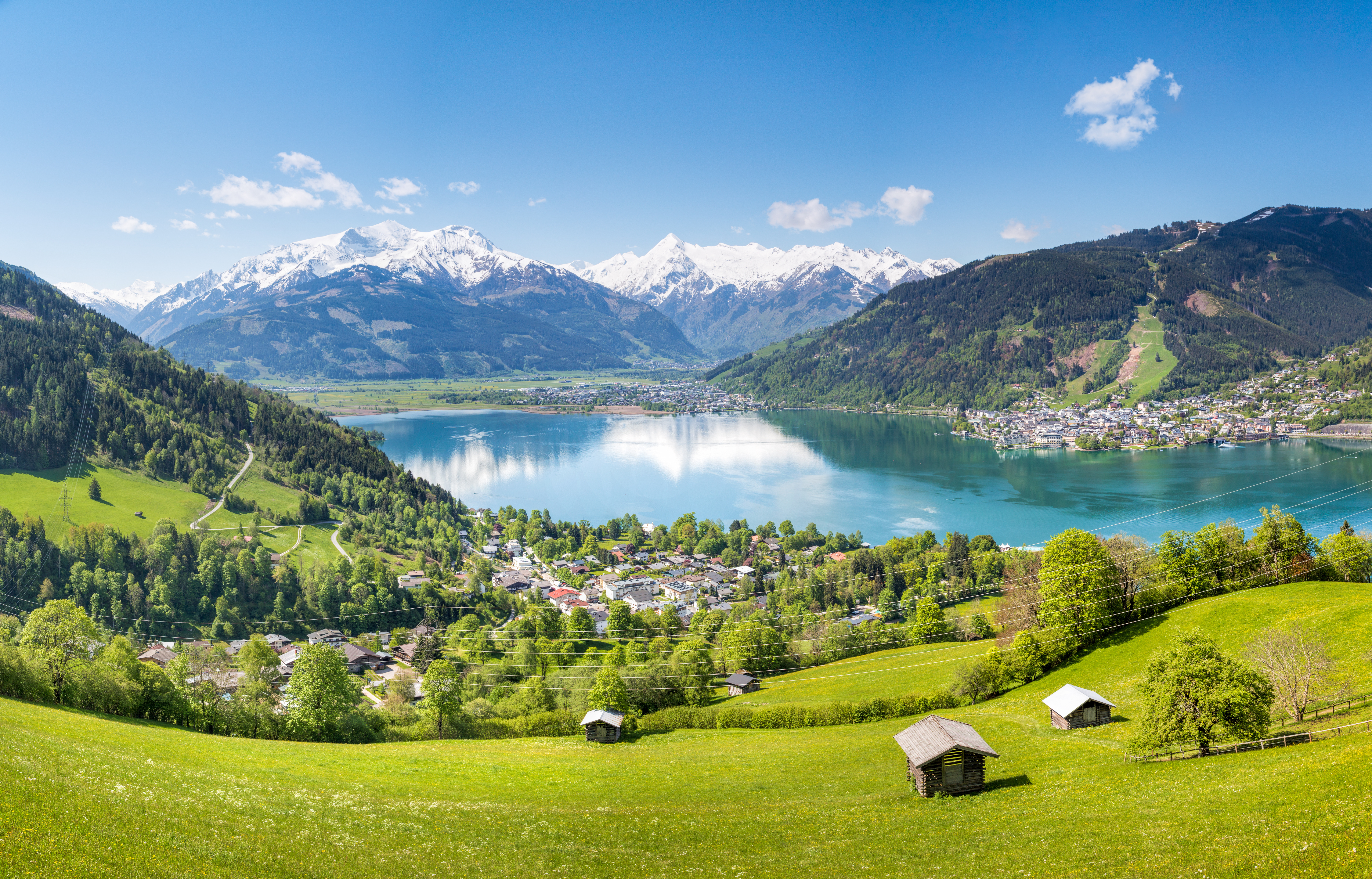 Zell 