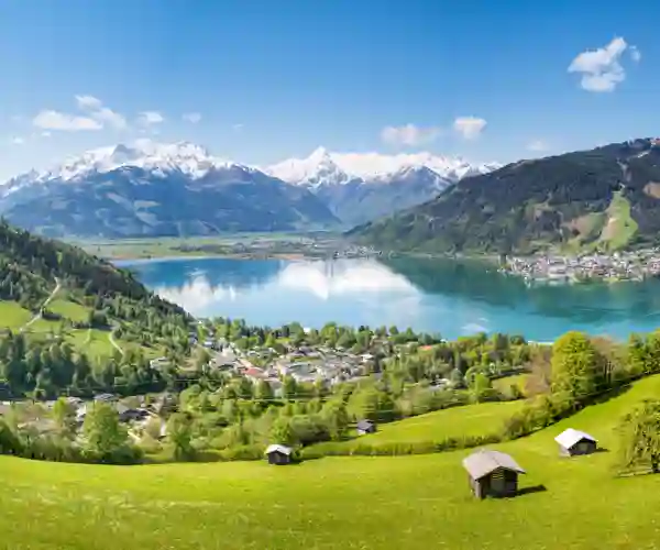 Zell
