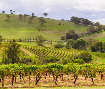 Maleriske Hunter Valley