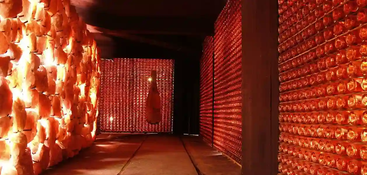 Alianças Underjordiske Museum
