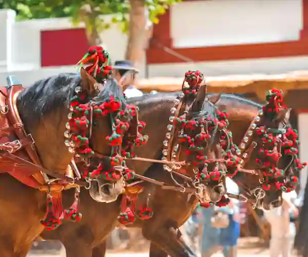 Jerez De La Frontera
