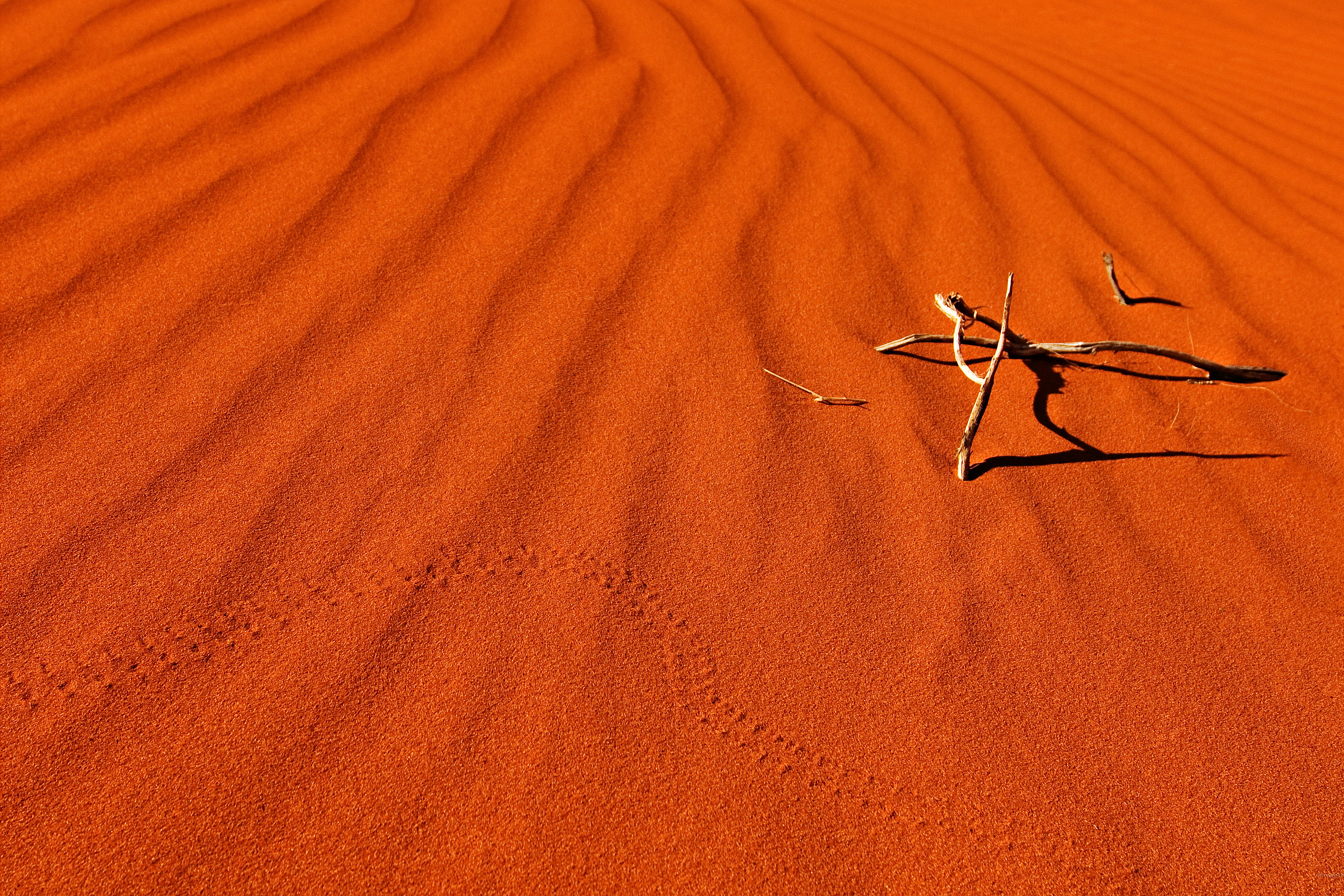 Rød sand i det centrale Australien