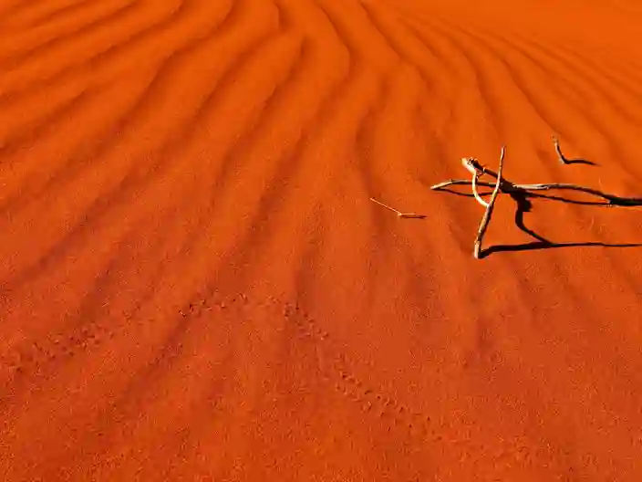 Rød sand i det centrale Australien