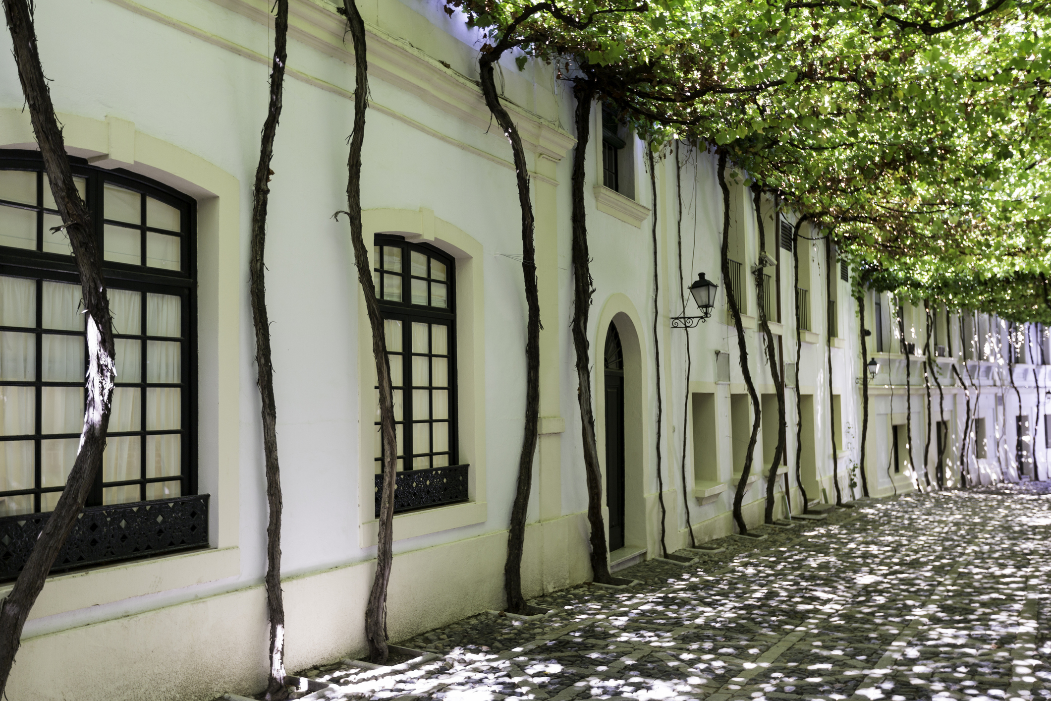 Jerez De La Frontera