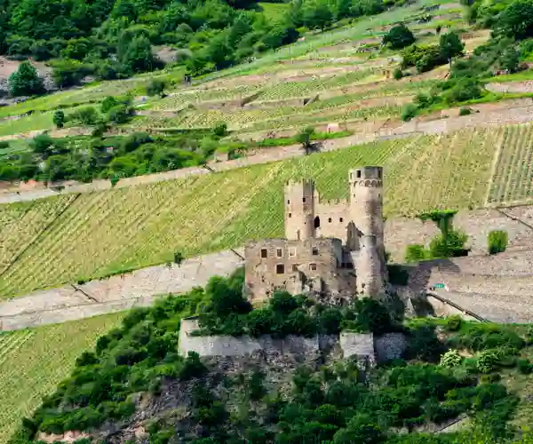 Ehrenfels slott i Rüdesheim langs Rhinen