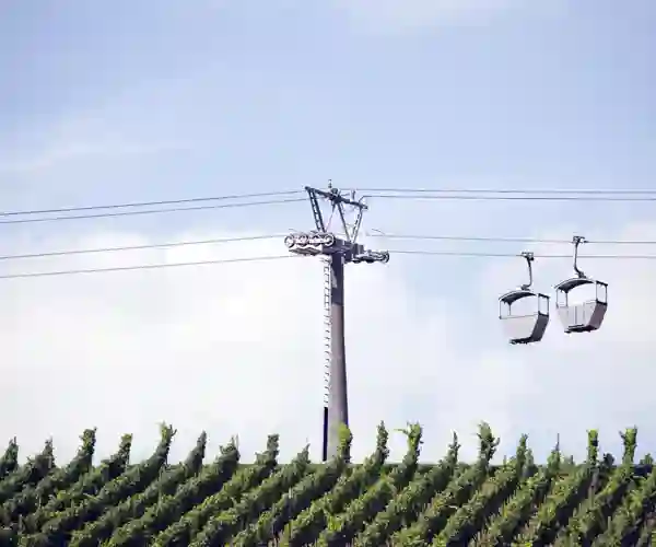 Gondolbanen i Rüdesheim