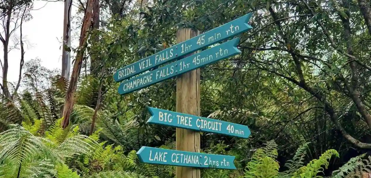 Lemonthyme Wilderness Retreat