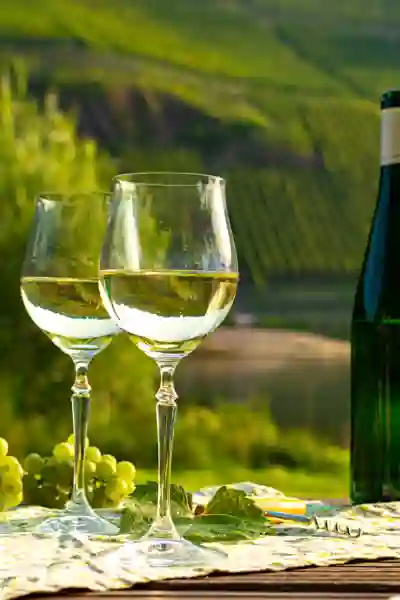 Riesling ved Mosel