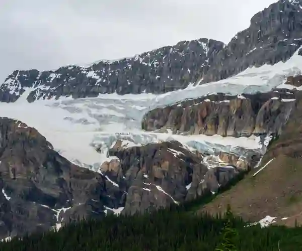 Crowfoot Glacier