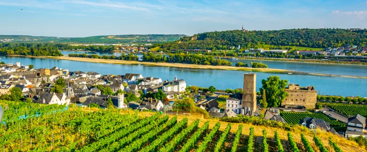 Vinmarker ved Rüdesheim
