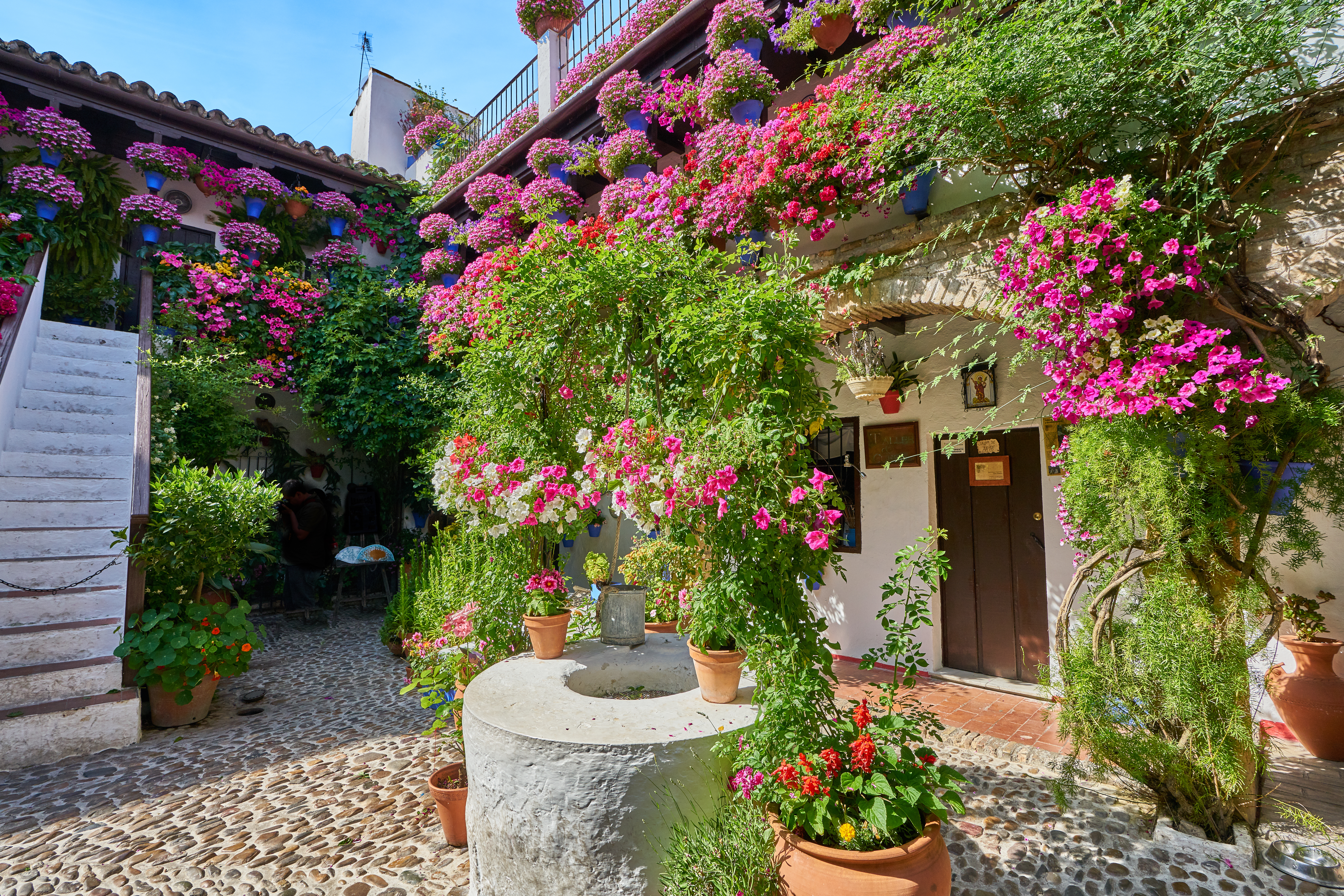 Fiesta de los Patios